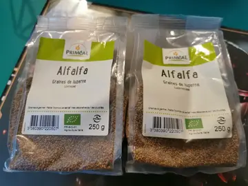 Alfalfa Graines de luzerne