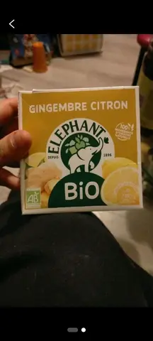 the gingembre citron