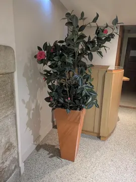Deux pots de fleurs artificielles pour déco