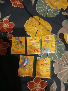 lot de magnets savane