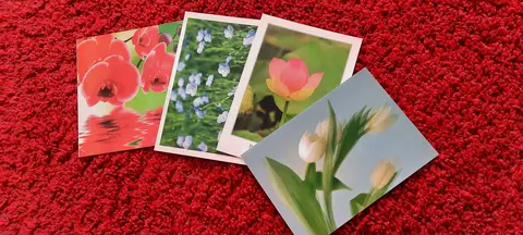 lot de 22 cartes postales non écrites