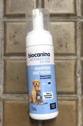 shampoing antiparasitaire