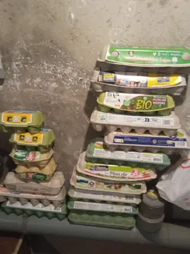 boîtes à oeufs en carton