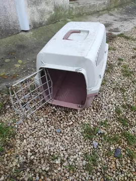 cage de transport chat