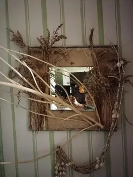 miroir et cadre naturel