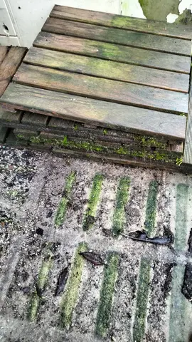 carrés en bois a donner