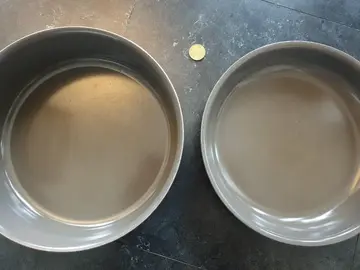 poele et sauteuse tefal ingenio