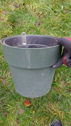 Pot de fleur à orchidée