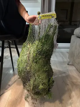 donne sapin je me suis trompée de taille