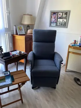 fauteuil releveur électrique