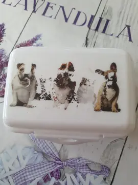 boîte de médicaments pour chiens où chat