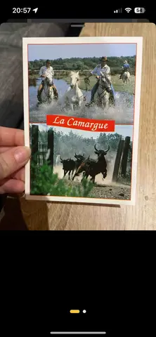 carte postale Camargue