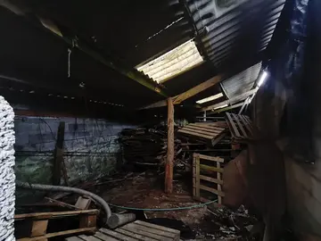 donne pallette tas de bois grande quantité