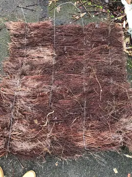 Deux panneaux de brandes de bruyère de très bonne qualité