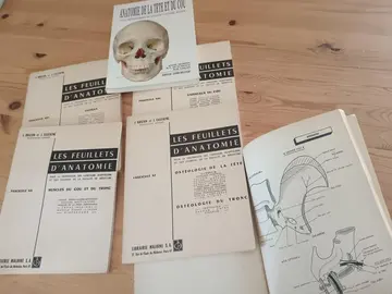 Feuillet d'anatomie