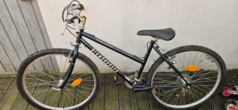 VTC Jeune fille à retaper