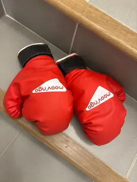gant boxe