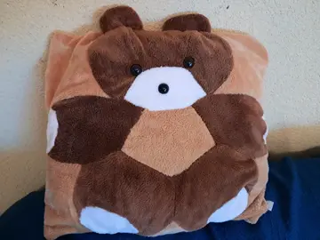 coussin peluche