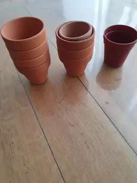 Pots de fleurs miniatures