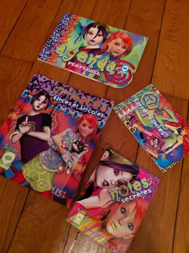 lot de livrets" agenda+farces et bricoles+carnet d’amies+notes secrètes "