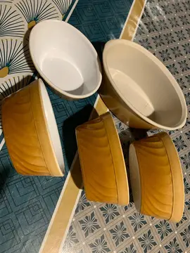 petites terrines en plastique