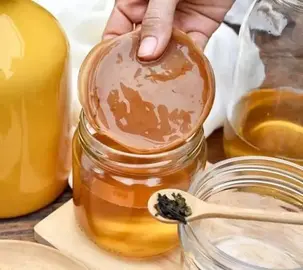 DON de mères de KOMBUCHA