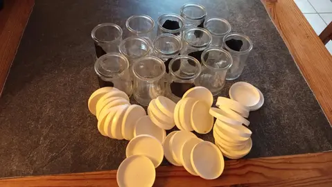 Lot de pots de yaourt avec couvercles
