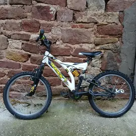 velo 20 pousse a réparer