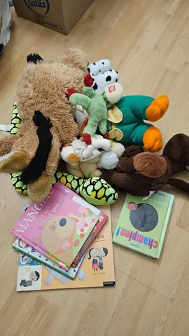 rejouons peluches et livres enfants maternelle