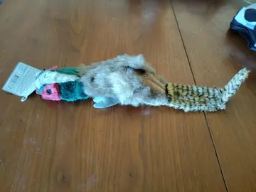 peluche.. Perroquet.. neuf