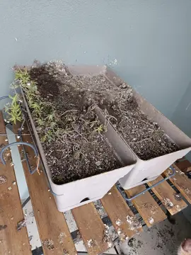 Jardinières de balcon x 2