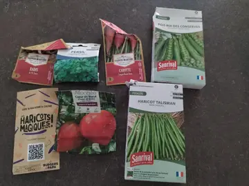 graines de légumes