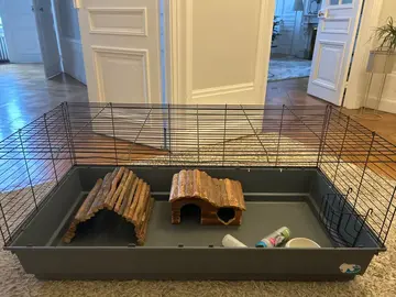 cage cochon d’inde