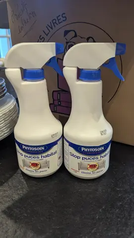 spray stop puces habitat