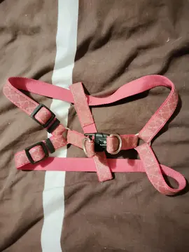 harnais chien Flamingo