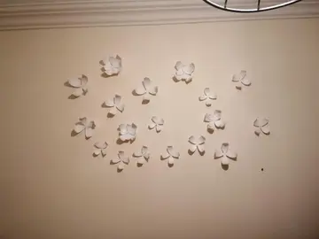 Petites fleurs decoratives