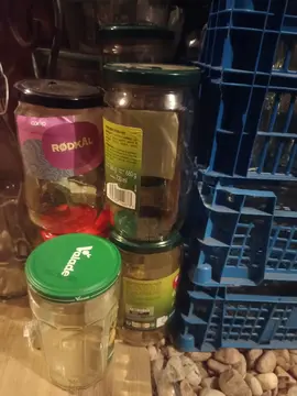 bocaux grande contenance