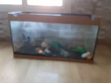 aquarium