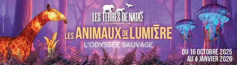 Deux billets pour le festival des lumières au terre de Nataé