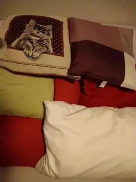 Divers coussins de petite taille