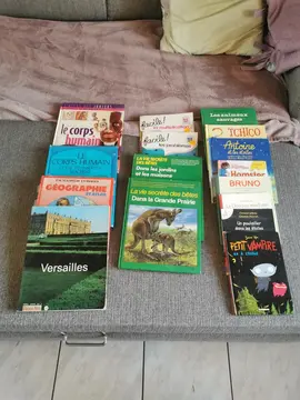 Lot de livres