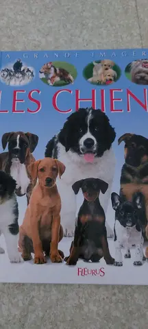 livre chien