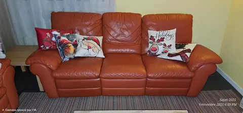 Canapé 3 places Cuir couleur Corail