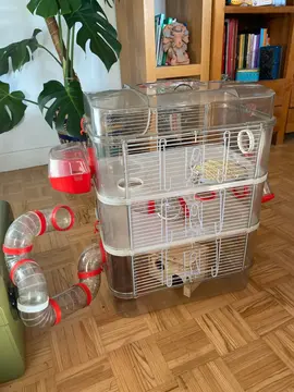 cage petit rongeur à étages