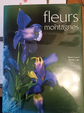 fleurs de montagne
