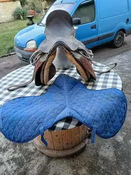 Selle de cheval