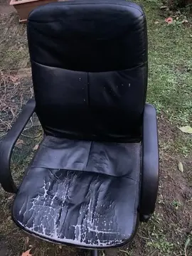 Don 2 fauteuills de bureau à roulette