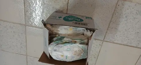 Couches culotte pampers