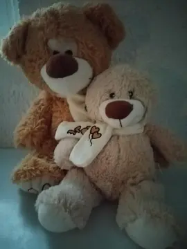 2 peluches oursons