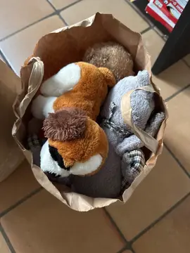 lot de peluche pour asso